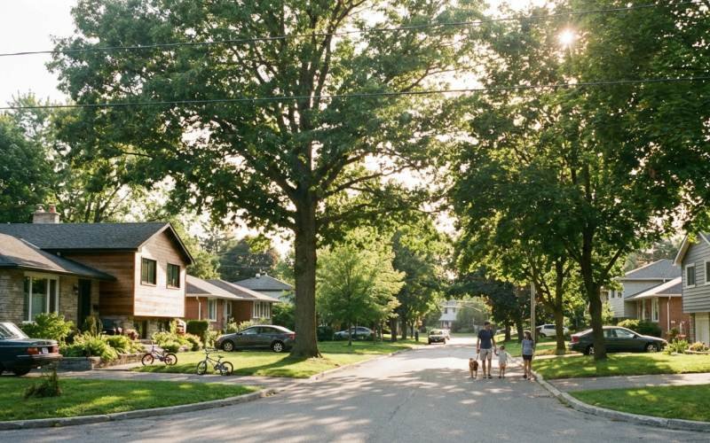 Beacon Hill Neighborhood Streetscape