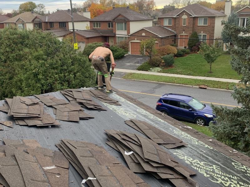 Damaged Asphalt Shingles