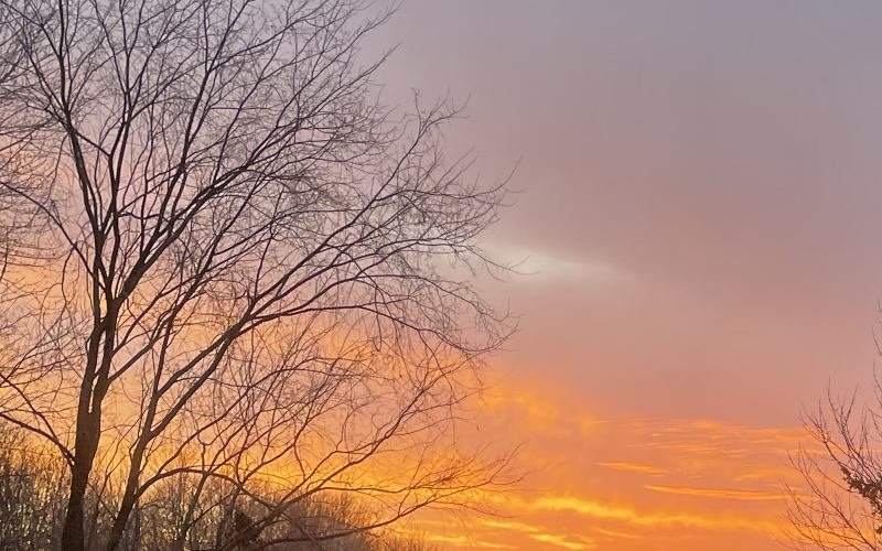 Stittsville Neighborhood Homes